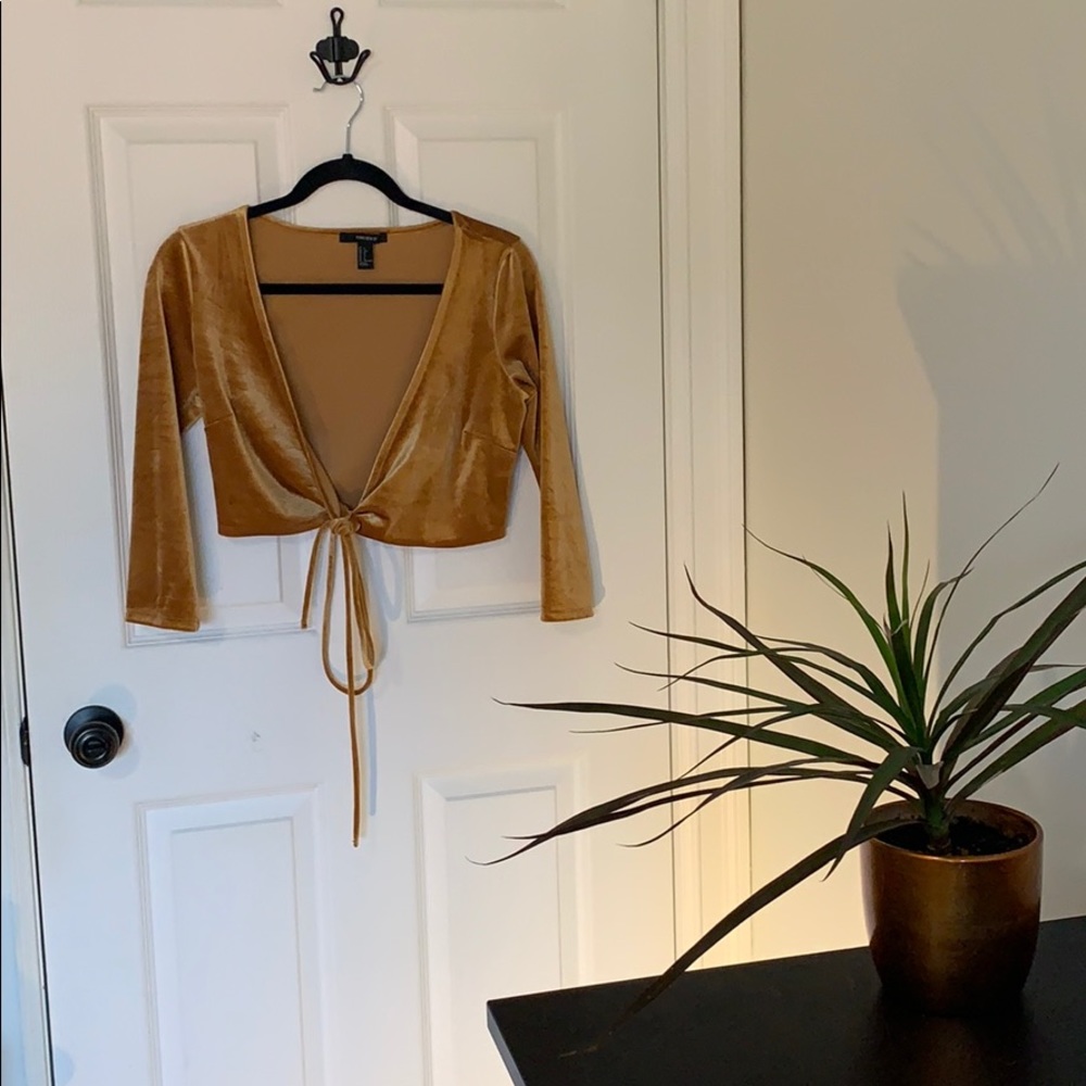 GOLD VELVET CROP TOP